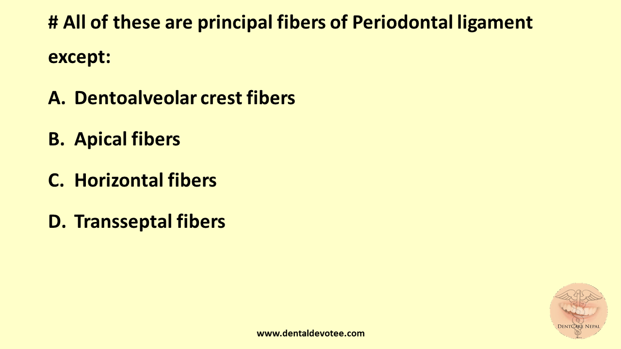 Dentosphere World of Dentistry Principal fibers of PDL