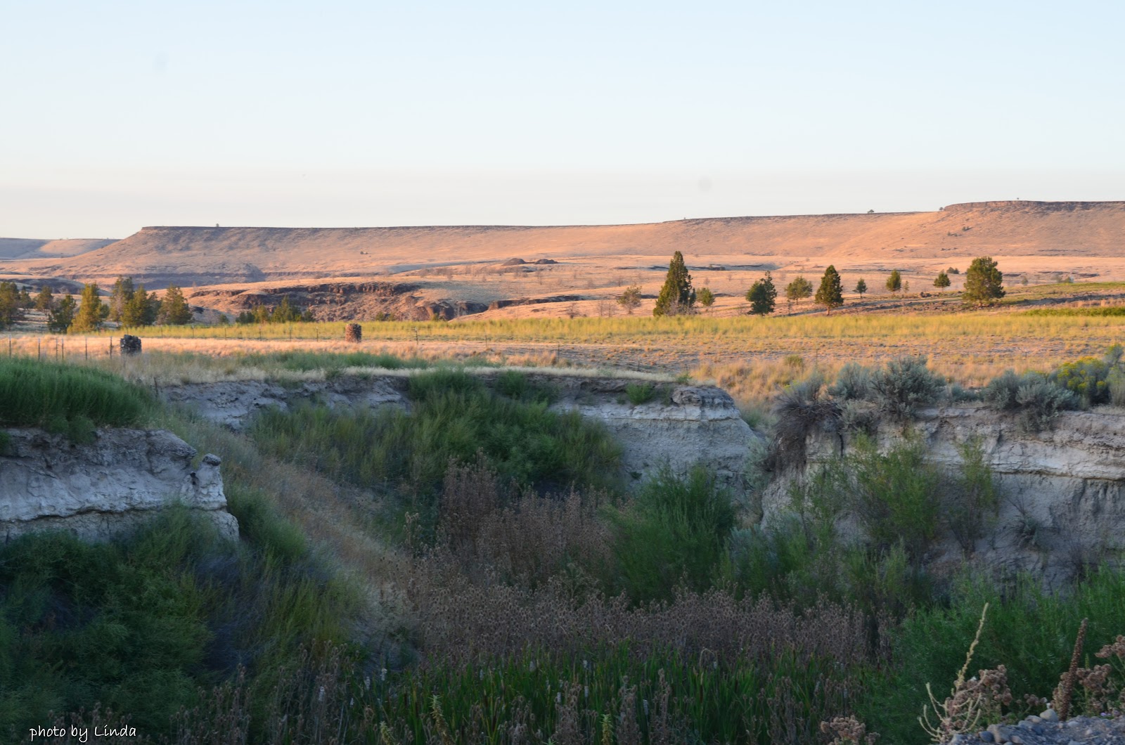 Oregon through my eyes Sagebrush Springs near Gateway Oregon