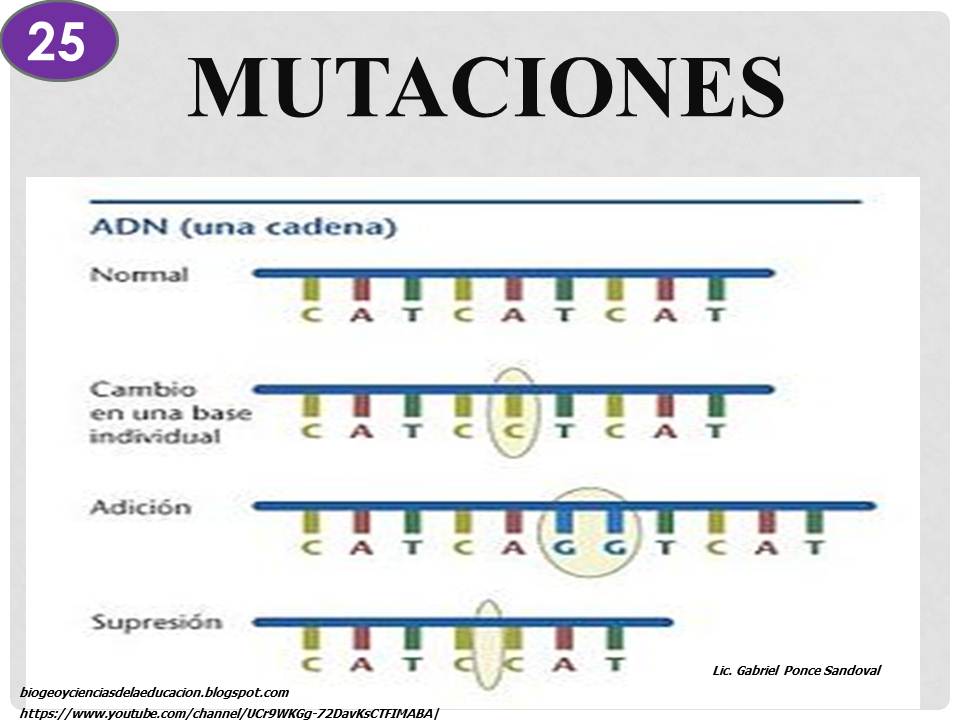 Biología Geografía y Ciencias de la