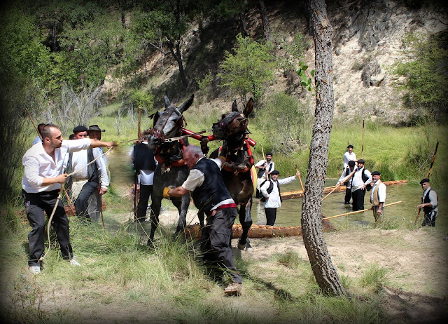 Gancheros sacando los troncos del río 