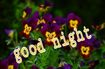 Good Night Images Good Night Images