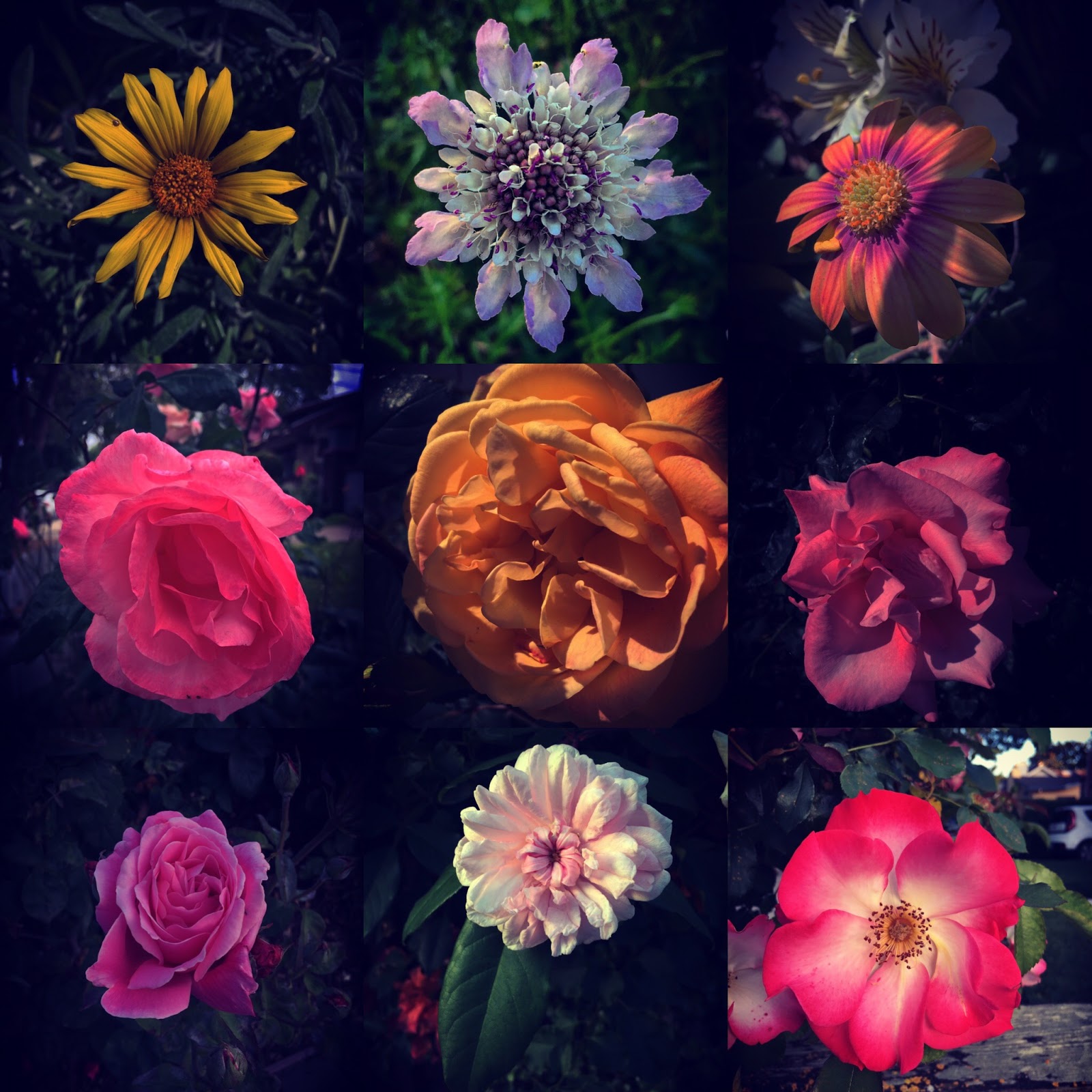 Ozgur Keles Gallery