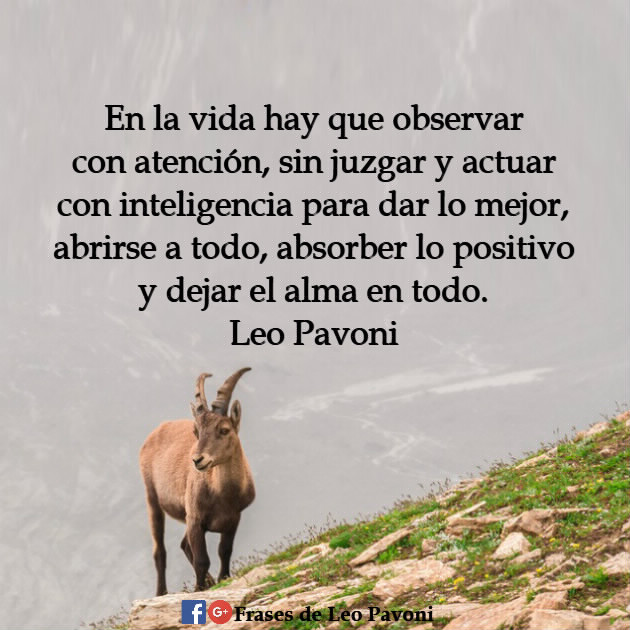 Resultado de imagen de LEO PAVONI