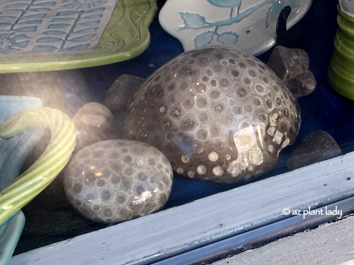 summer fun a new garden hunting for stones and an summer fun a new garden hunting for stones and an