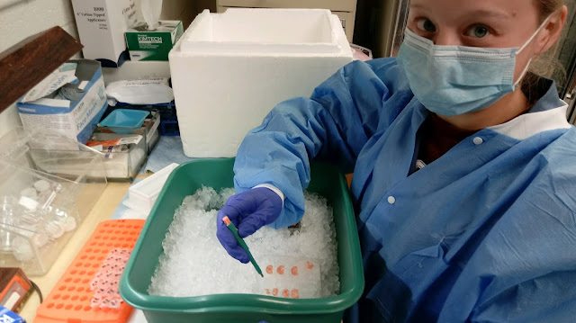Haley Spencer working in a lab with a green container in front of her.