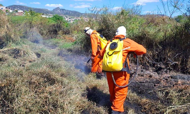 Incêndio é controlado em Jacobina após ação conjunta entre servidores e brigadistas