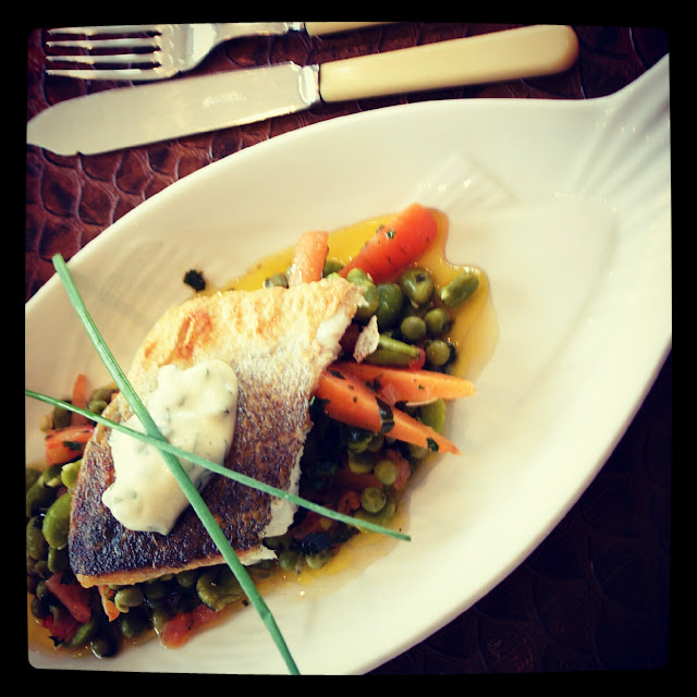 Jane And Judy In The Kitchen Sea Bass with Summer Vegetables and Sauce