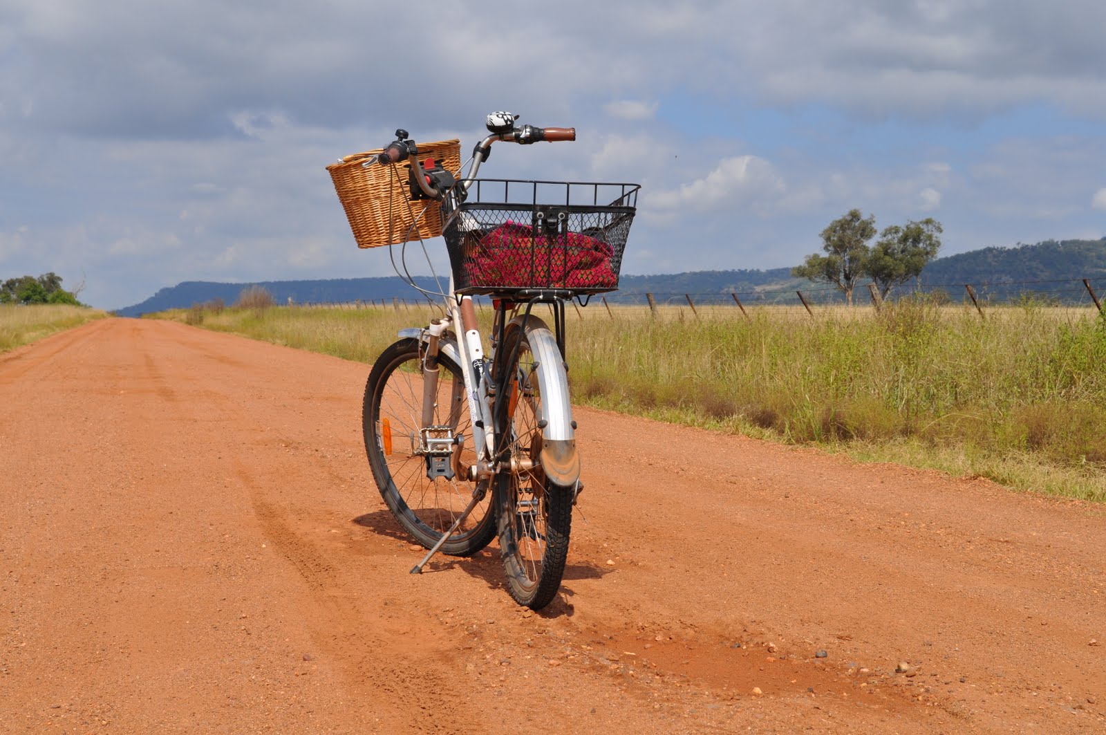 Freedom Cyclist (adfree advocacy) Australian bicycle helmet assumption yet to be proved