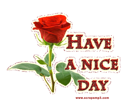 Have a nice Day. Гифки have a nice Day. Открытка have a nice Day. Have a nice Day гифка. You have good point