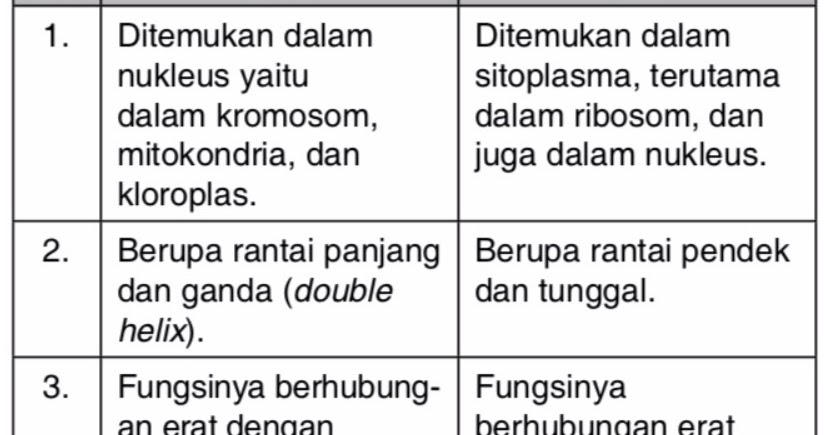 Jelaskan Perbedaan Antara Dna Dan Rna Tuliskan Dalam Bentuk Tabel Mas Dayat Jelaskan Perbedaan Antara Dna Dan Rna Tuliskan Dalam Bentuk Tabel Mas Dayat