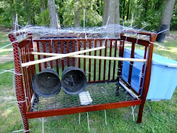 chicken dog wire pen chickens coop kennel coops pallets build crate trailer into crib grilled range backyard josh shipping under