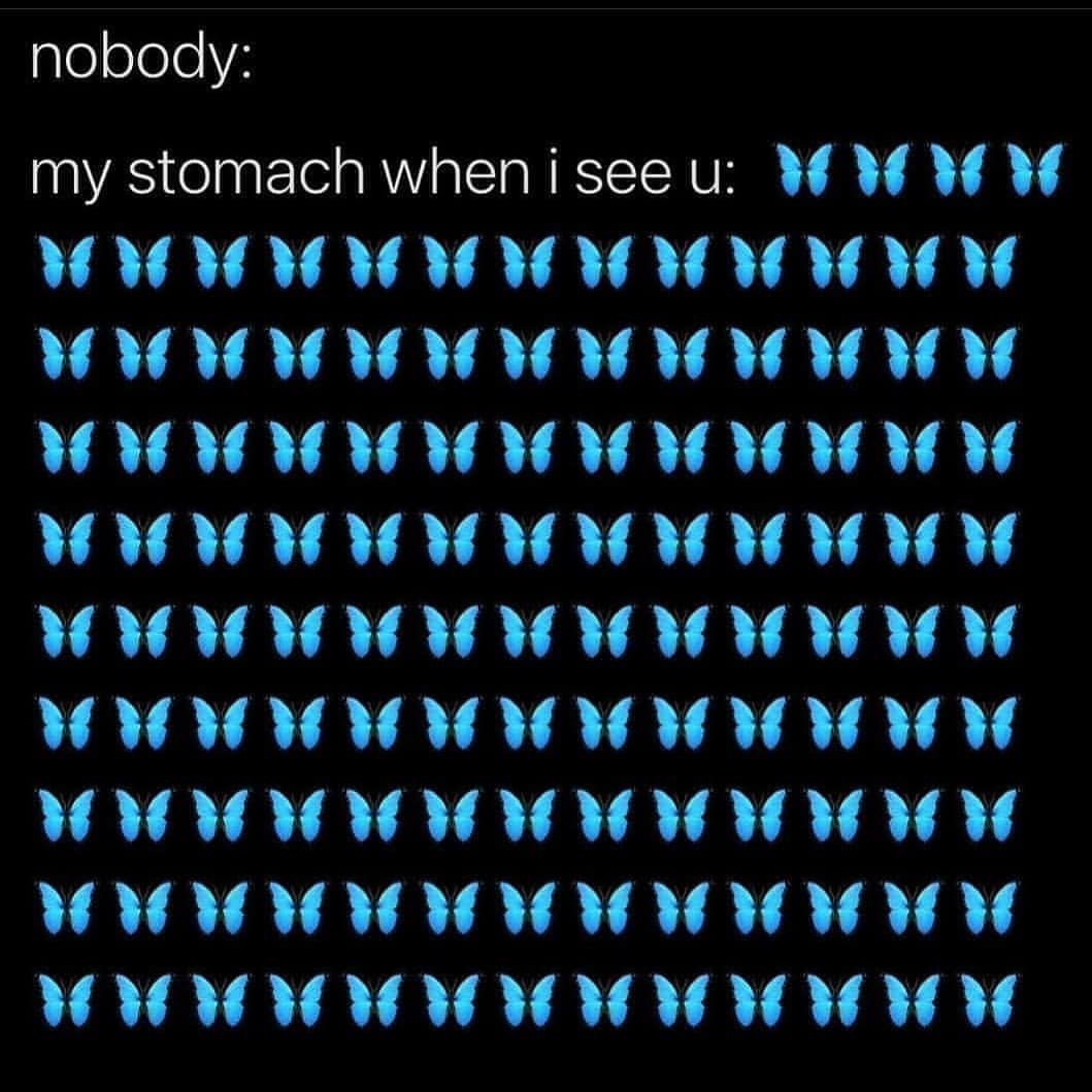 Funny Memes Butterfly meme by memeshub.___