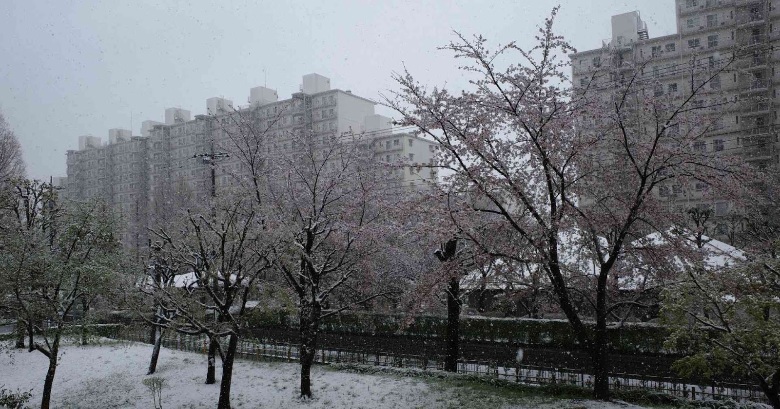 季節外れの雪KillingTime