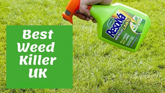 Best Weed Killer UK | Buyer's Guide & Review 2020
