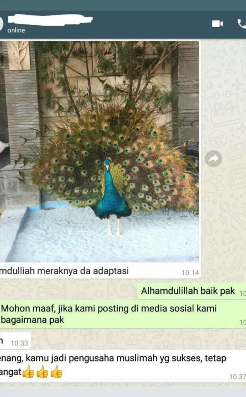 Blogspot Landing Page Builder