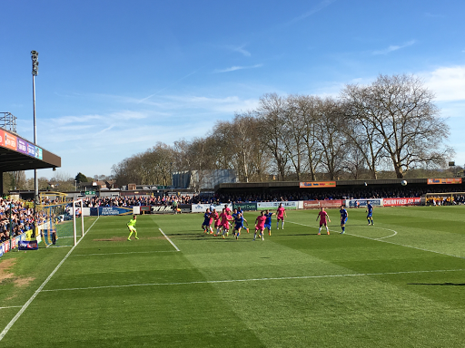 AFC Wimbledon Pics