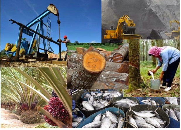 Sumber Daya Alam Berdasarkan Pembentukannya Sekali