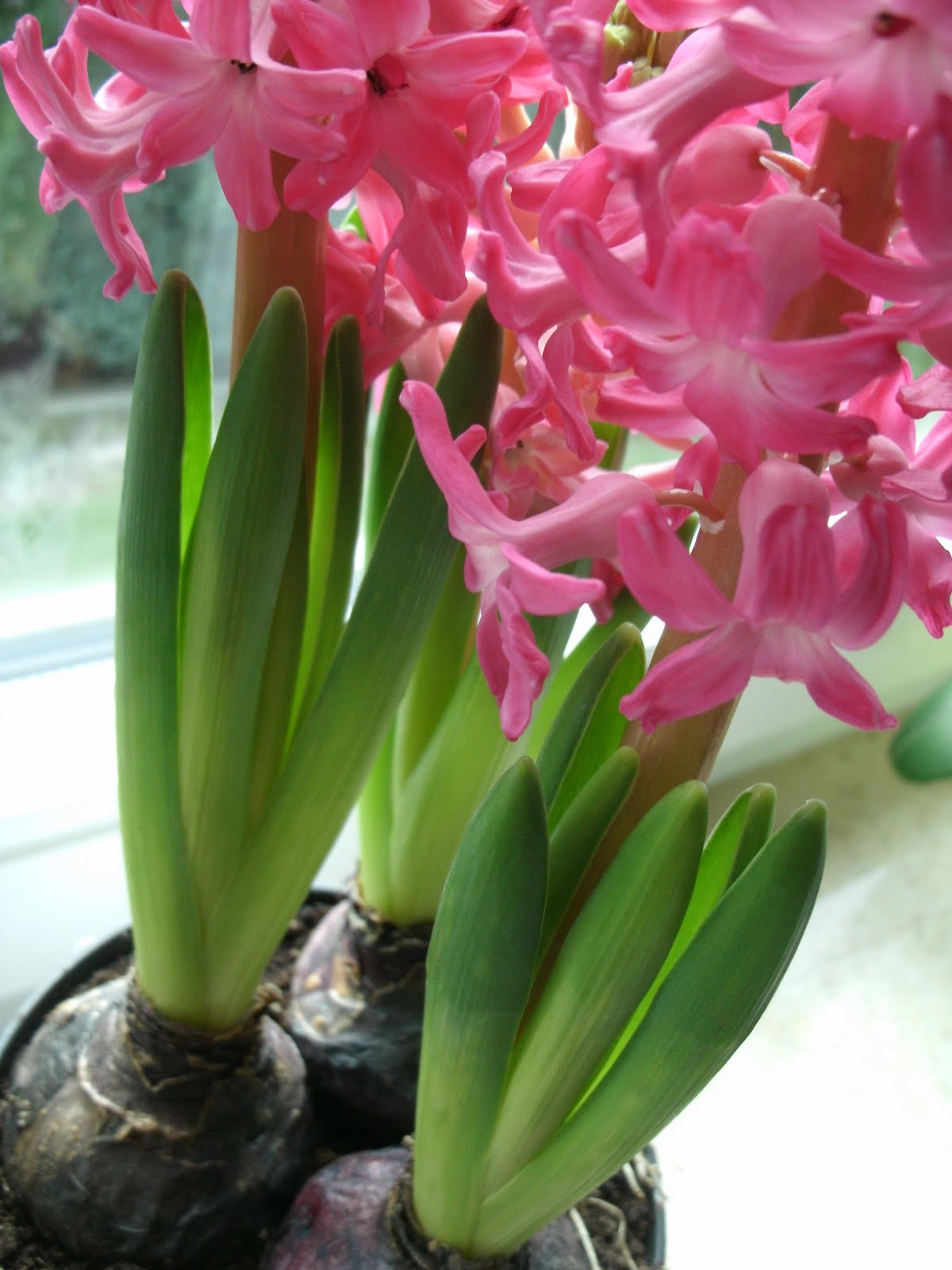 Frau-Keks liebt Tantendesign: 12/12-01/2012