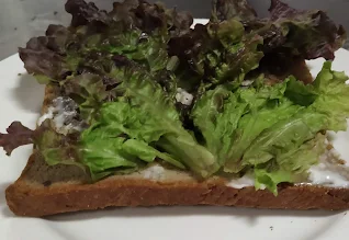 Lettuce over mayonnaise spread bread for veg club sandwich recipe