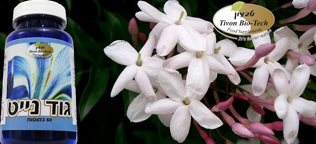 אתר ויטמין גוד נייט להרדמה ושינה נעימה וחזקה