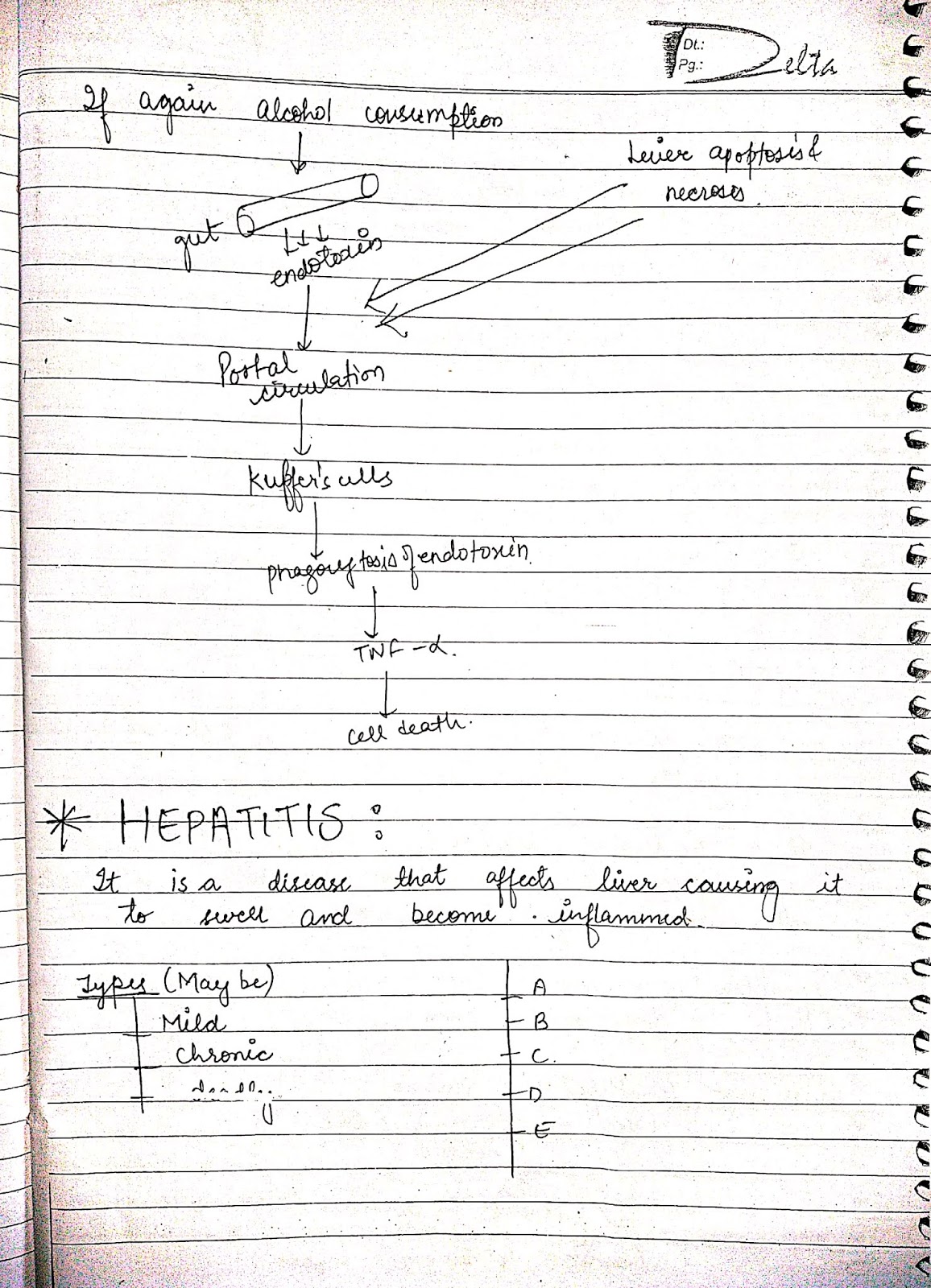 pathophysiology - hepatitis