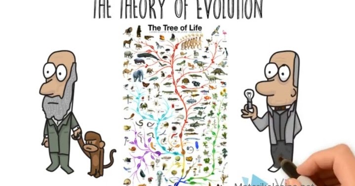 Contoh Soal Teori Evolusi Beserta Pembahasannya