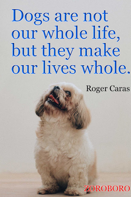 Motivational Quotes on Be dog puppies Yourself, Failures, Love, Happiness and Life. Short Inspirational Success Quotes and Saying zoroboro.inspirational quotes,motivational quotes,positive quotes,inspirational sayings,encouraging quotes,best quotes,inspirational messages,famous quote,uplifting quotes,motivational words,motivational thoughts,motivational quotes for work,inspirational words,inspirational quotes on life,daily inspirational quotes,motivational messages,success quotes,good quotes,best motivational quotes,positive life quotes,daily quotesbest inspirational quotes,inspirational quotes daily,motivational speech,motivational sayings,motivational quotes about life,motivational quotes of the day,daily motivational quotes,inspired quotes,inspirational,positive quotes for the day,inspirational quotations,famous inspirational quotes,inspirational sayings about life,inspirational thoughts,motivational phrases,best quotes about life,inspirational quotes for work,short motivational quotes,daily positive quotes,motivational quotes for successfamous motivational quotes,good motivational quotes,great inspirational quotes,positive inspirational quotes,most inspirational quotes,motivational and inspirational quotes,good inspirational quotes,life motivation,motivate,great motivational quotes,motivational lines,positive motivational quotes,short encouraging quotes,motivation statement,inspirational motivational quotes,motivational slogans,motivational quotations,self motivation quotes,quotable quotes about life,short positive quotes,some inspirational quotessome motivational quotes,inspirational proverbs,top inspirational quotes,inspirational slogans,thought of the day motivational,top motivational quotes,some inspiring quotations,motivational proverbs,theories of motivation,motivation sentence,most motivational quotes,daily motivational quotes for work,business motivational quotes,motivational topics,new motivational quotes ,inspirational phrases,best motivation,motivational articles,famous positive quotes ,latest motivational quotes,motivational messages about life,motivation text,motivational posters inspirational motivation inspiring and positive quotes inspirational quotes about success words of inspiration quotes words of encouragement quotes words of motivation and encouragement  words that motivate and inspire,motivational comments inspiration sentence motivational captions motivation and inspiration best motivational words,uplifting inspirational quotes encouraging inspirational quotes highly motivational quotes encouraging quotes about life,motivational taglines positive motivational words quotes of the day about life best encouraging quotesuplifting quotes about life inspirational quotations about life very motivational quotes  positive and motivational quotes motivational and inspirational thoughts motivational thoughts quotes good motivation spiritual motivational quotes a motivational quote,best motivational sayings motivatinal motivational thoughts on life uplifting motivational quotes motivational motto,today motivational thought motivational quotes of the day success motivational speech quotesencouraging slogans,some positive quotes,motivational and inspirational messages,motivation phrase best life motivational quotes encouragement and inspirational quotes i need motivation,great motivation encouraging motivational quotes positive motivational quotes about life best motivational thoughts quotes ,inspirational quotes motivational words about life the best motivation,motivational status inspirational thoughts about life, best inspirational quotes about life motivation for success in life,stay motivated famous quotes about life need motivation quotes best inspirational sayings excellent motivational quotes,inspirational quotes speeches motivational videos motivational quotes for students motivational, inspirational thoughts quotes on encouragement and motivation motto quotes inspirationalbe motivated quotes quotes of the day inspiration and motivationinspirational and uplifting quotes get motivated quotes my motivation quotes inspiration motivational poems,some motivational words motivational quotes in english what is motivation inspirational motivational sayings motivational quotes quotes motivation explanation motivation techniques great encouraging quotes motivational inspirational quotes about life some motivational speech encourage and motivation positive encouraging quotes positive motivational sayings motivational quotes messages best motivational quote of the day whats motivation best motivational quotation good motivational speech words of motivation quotes it motivational quotes positive motivation inspirational words motivationthought of the day inspirational motivational best motivational and inspirational quotes motivational quotes for success in life,motivational strategies,motivational games ,motivational phrase of the day good motivational topics,motivational lines for life motivation tips motivational qoute motivation psychology message motivation inspiration,inspirational motivation quotes,inspirational wishes motivational quotation in english best motivational phrases,motivational speech motivational quotes sayings motivational quotes about life and success topics related to motivation motivationalquote i need motivation quotes importance of motivation positive quotes of the day motivational group motivation some motivational thoughts motivational movies inspirational motivational speeches motivational factors,quotations on motivation and inspiration motivation meaning motivational life quotes of the day good motivational sayings good and inspiring quotes motivational wishes motivation definition motivational songs best motivational sentences  motivational sites best quote for the day inspirational  matt foley motivational speaker motivational tapes running motivation quotes interesting motivational quotes motivational n inspirational quotes quotes related to motivational motivational quotes about people motivation quotes about life best inspirational motivational quotes motivational sayings for life motivation test motivational motto in life good encouraging quotes motivational quotes by a motivational thought emotional motivational quotes best motivational captions motivational activities motivational ideas inspiration sayings a good motivational quote good motivational thoughts good motivational phrases best inspirational thoughts motivational sports quotes real motivational quotes quotes about life and motivation motivation sentences for life define motive any motivational quotes nice motivational quotes motivational tools strong motivational quotes motivational quotes and inspirational quotes a motivational messageI good motivational lines caption about motivation about motivation need some motivation quotes serious motivational quotes some motivation motivational person quotes best motivational thought of the day uplifting and motivational quotes a great motivational quote famous motivational phrases motivational quotes and thoughts motivational new quotes inspirational thoughts and motivational quotes maslow motivation good and motivational quotes powerful motivational quotes best quotes about motivation and inspiration positive motivational quotes for the day the best uplifting quotes inspirational words and quotes motivation research english quotes motivational some good motivational quotes good motivational captions good inspirational quotes about life wise motivational quotes best life motivation caption for motivation i need some motivation quotes motivation & inspiration quotes inspirational words of motivation good encourage life quotesmotivation in full motivational quotes quotes of inspiring life positive motivational phrases good motivational quotes for life famous motivational quotations inspirational sayings to encouragemotivation motivational quotes daily motivation inspiring quotes of encouragement motivational philosophy quotes good quotes encouragement more motivational quotes what is the meaning of motivation inspirational phrases about life social motivation some motivational quotes about life best motivational proverbs motivational quotes for motivation life and inspirational quotes beautiful motivational quotes motivational quotes and messages i need a motivational quote good proverbs on motivation good sentences for motivation beautiful quotes inspiration motivation motivation in education motivational proverbs and sayings quotes of inspiration in life motivation famous quotes a quote about motivation motivational cards a good motivation  motivational quotes i motivational quotes for yoU best motivational motto well known motivational quotes inspiration life quotes inspirational sayings about motivation inspiring words to motivate list of motivational thoughts motivational q motivation scale motivation quote of the day what's a motive  motivational lifestyle quotes positive quotes about motivation quotes and motivation to motivate someone quotes  quotes regarding motivation give me some motivational quotes need some inspiration quotes define the term motivation good inspirational captions motivate someone quotes inspirational motivational phrases explain the meaning of the term motivation famous quotes about motivation and inspiration helpful motivational quotes quotes motivations positive motivational statements what is the definition of motivation de motivation what is motivated motivational quotes and phrases motivation life quotes management and motivation personal motivation quotes what is motivational speech  motivational life quotes and sayings quotes about succeeding in life motivation quotes for life inspirational thoughts on motivation motivational enhancement motivation though programming motivation motivation inspiration quotes for life  motivation code inspirational motivational quotes of the day motivational and inspirational quotes on life what does motive mean quotes motivation in life inspirational quotes success motivation inspiration quotes on life motivating quotes and sayings inspiration and motivational quotes motivation for friends motivation meaning and definition inspirational sentences about life good inspiration quotes quote of motivation the day inspirational or motivational quotes motivation system my inspiration in life quotes motivational terms explain the term motivation inspirational words about life some inspirational quotes about life inspiration quotes of life motivational qoute of the day best quotes about inspirational life give me some motivation best motivational quotes for students motivational wishes quotes   great motivational quotes for life what is meant by the term motivation famous quotes inspirational motivational motivational quotes and meaning nice and inspirational quotes life inspiration qoutes quotes on inspirational life best inspiring quotes on life m0tivational quotes quote about encouragement in life explain the meaning of motivation motivational coats quotes inspiration quotes life motivational speech meaning motivational quotes and sayings  get the definition of motivation inspirational uplifting quotes about life meaning of the term motivation good motivational quotes or sayings motivation description nice motivation motivational quotes inspiration motivational quotes qoute motivation the best inspirational quotes about life good motivational words best quotes for inspiring life  motivation and inspirational quotes best motivation for life motivation is a quotes on inspiration on life   inspirational qoute about life motivation what is it simple definition of motivation qoute about motivation  inspirational and motivational sayings motivational motivational quotes motivational quotes for everyone motivation dictionary what is good motivation what are some motivations motive show inspirational motivationAL qoute of motivation nice and positive quotes i can motivational quotes famous inspirational quotes about life what do you understand by the term motivation motivation to live quotes how to define motivation positive motivational quotes for life you are the best motivation quotes of encouragement about life do it motivational quotes a inspirational quote about life define inspirational motivation what does the term motivation mean best quotes motivation life life inspirational qoute motivational qoute for the day is motivational a word inspirational quotes to do better what is a motivational quote motivational quotes to do better quotes that will motivate you motivational quotes on encouragement life quotes inspirational quotes what is the definition of motivated motival quote is motivation qoute for motivation what do u mean by motivation what does motivation motivational techniques definition beautiful motivational quotes on life what are motivational words i will motivation quote quotation life quotes that are inspiring  motivating inspirational quotes nice inspirational quotes vational quotes