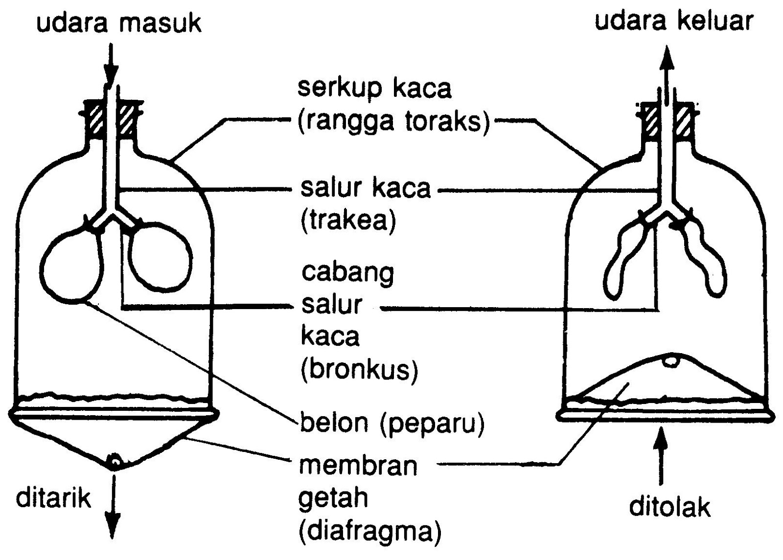 Sains PT3 2018: 2016