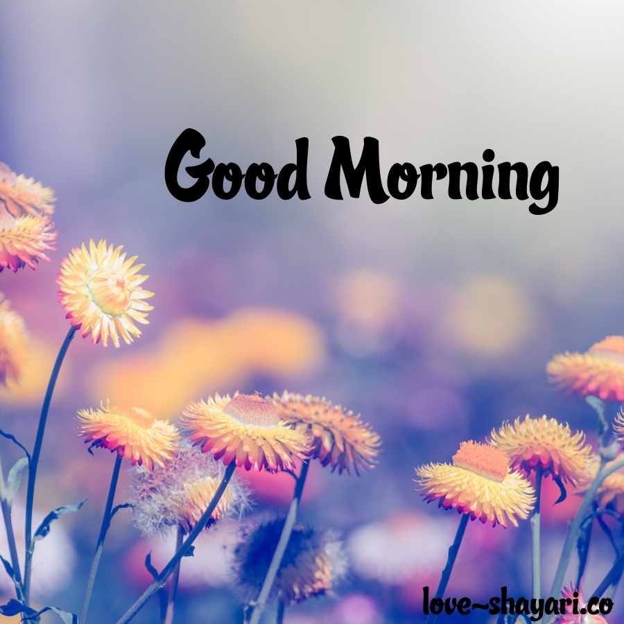 good morning sweetheart images