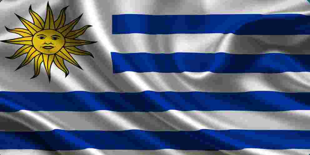 Which Of The Following Country Hosted The First Football World Cup which-of-the-following-country-hosted-the-first-football-world-cup