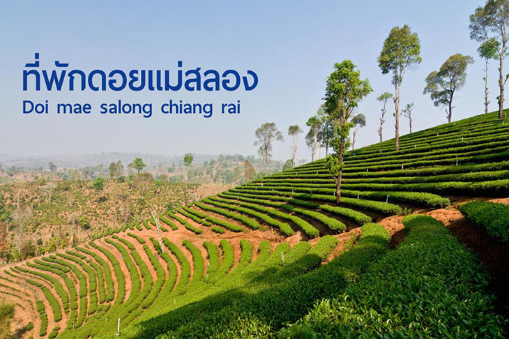ล าส ดก บ 25 ท พ กดอยแม สลอง งามแต ๆ ราคาประหย ด พร อมเบอร โทรต ดต อ บ านพ กชมทะเลหมอกสวยๆ มาให เล อกก นจ า ค ณนายเว อร เทอร ชอบเท ยวก นนอน