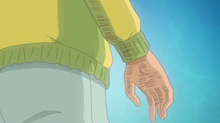 名探偵コナン 第1011話 山菜狩りとクローバー | Detective Conan Episode 1011