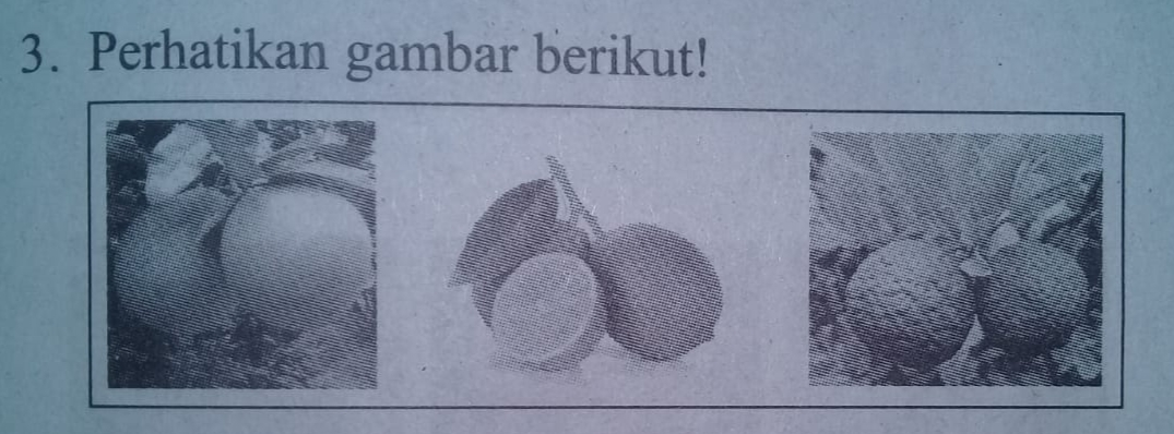 keanekaragaman genetik pada suatu populasi organisme akan meningkat