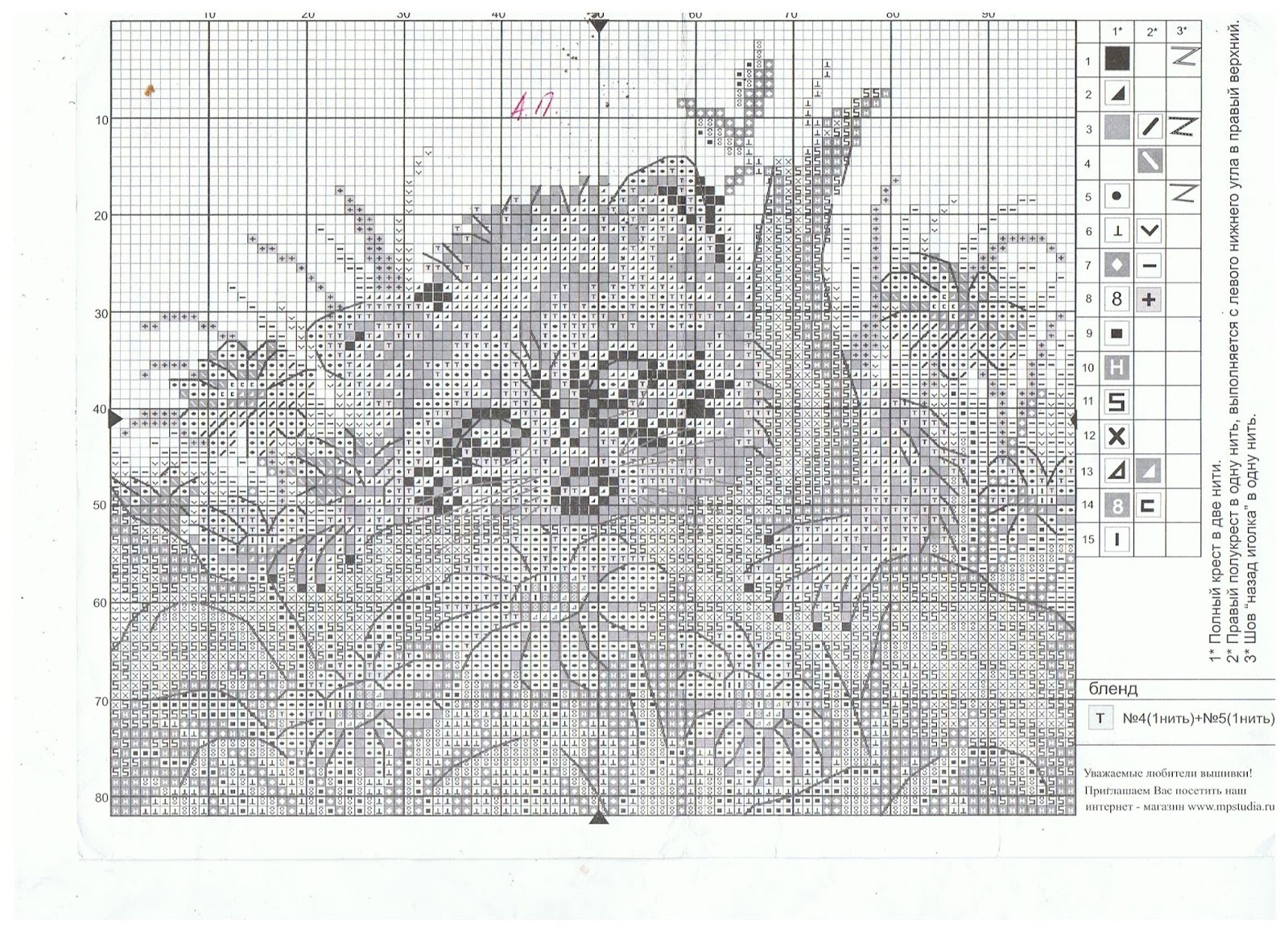 Схемы вышивки студии мп. Енот вышивка крестом схема. Часы с енотами вышивка. Вышивка МП схемы. МП студия вышивка енот.