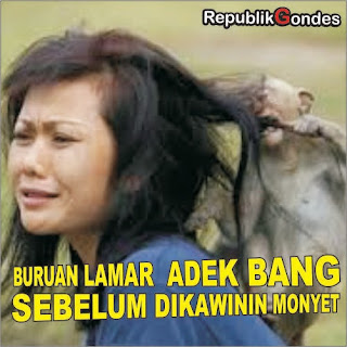 Inilah 21 Meme Monyet Api dan Juga Ramalannya