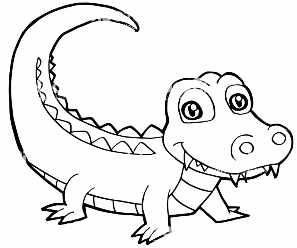 Schöne Dinge Alligator Malvorlagen