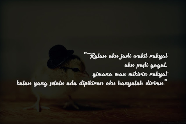 Kata-kata bucin lucu