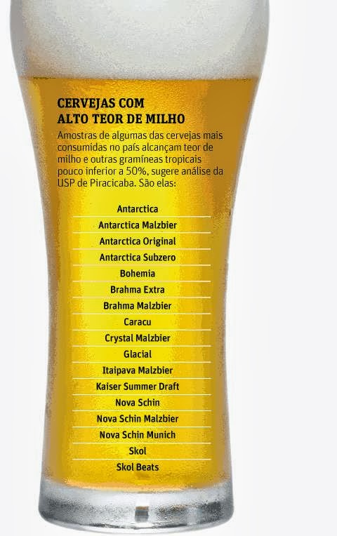 Brasileiro bebe cerveja de milho 