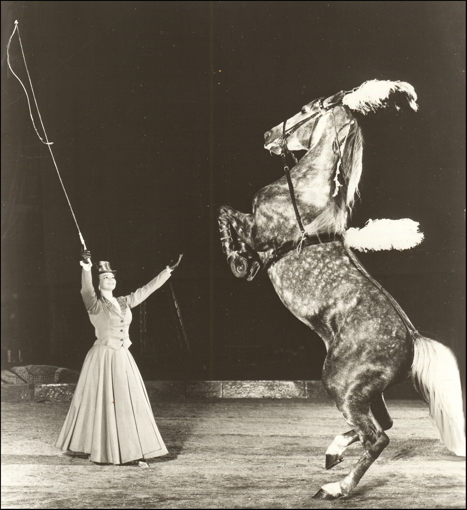 Buckles Blog MORE HIND LEGS