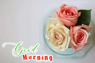 good morning read flower images