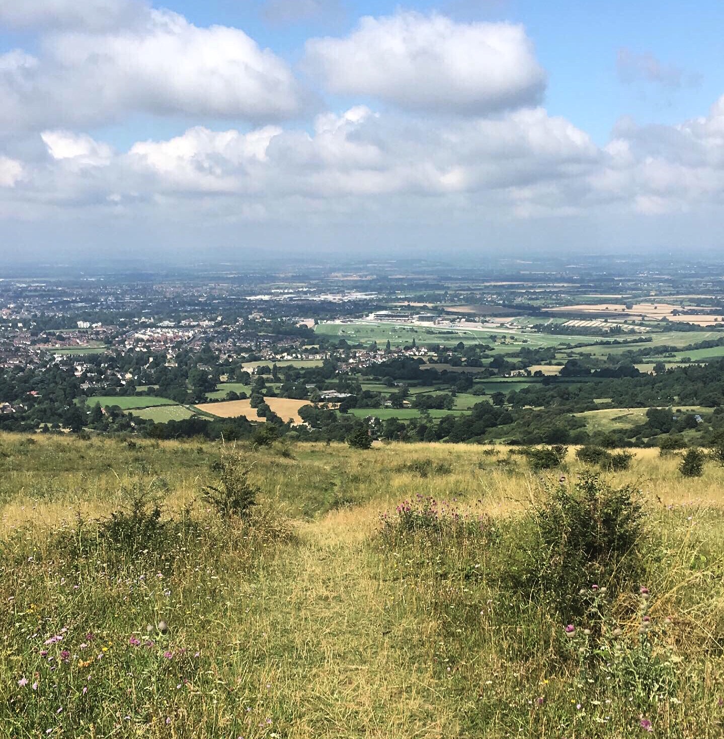 Out4aduck A record of my birding year Chalk Hill Blues on Prestbury Hill