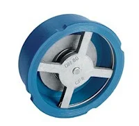 Disk Check Valve