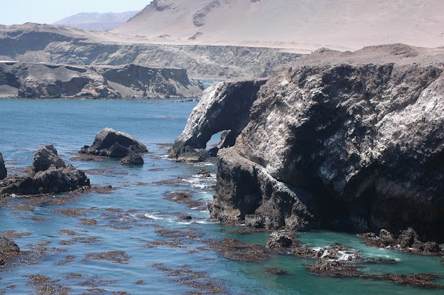 Reserva Nacional San Fernando