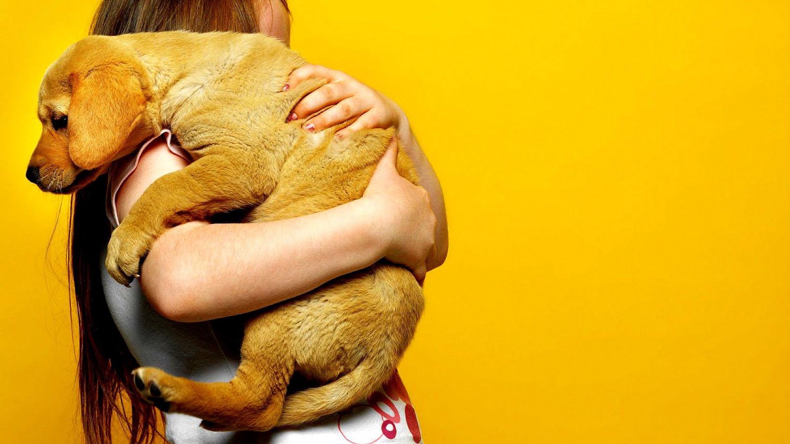 Severe Separation Anxiety In Dogs Dog Choices