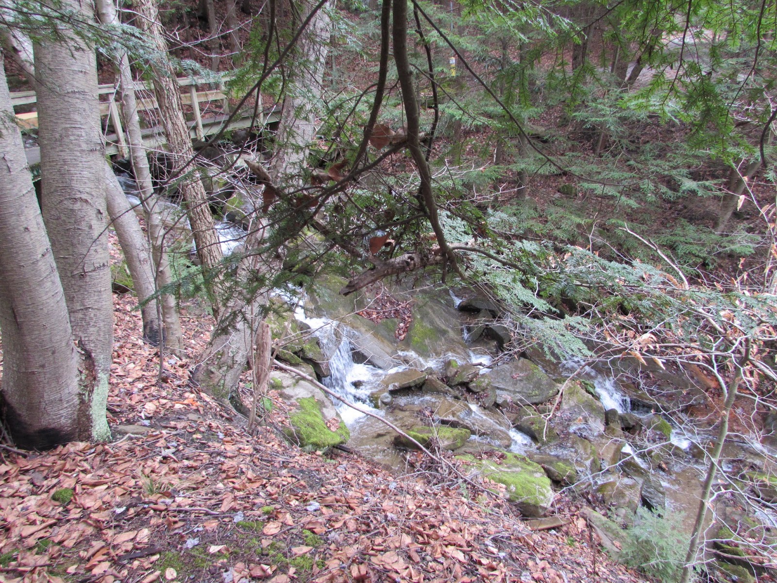Buttermilk Falls North, Cowanshannock Trail, Armstrong County