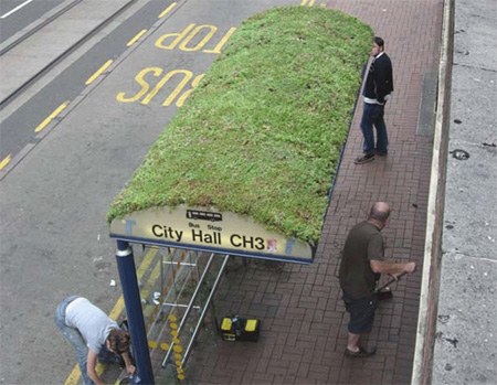 Bus+stop+around+the+world3.jpg