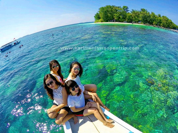 Harga Paket Wisata Karimunjawa 20212022 400rban Open