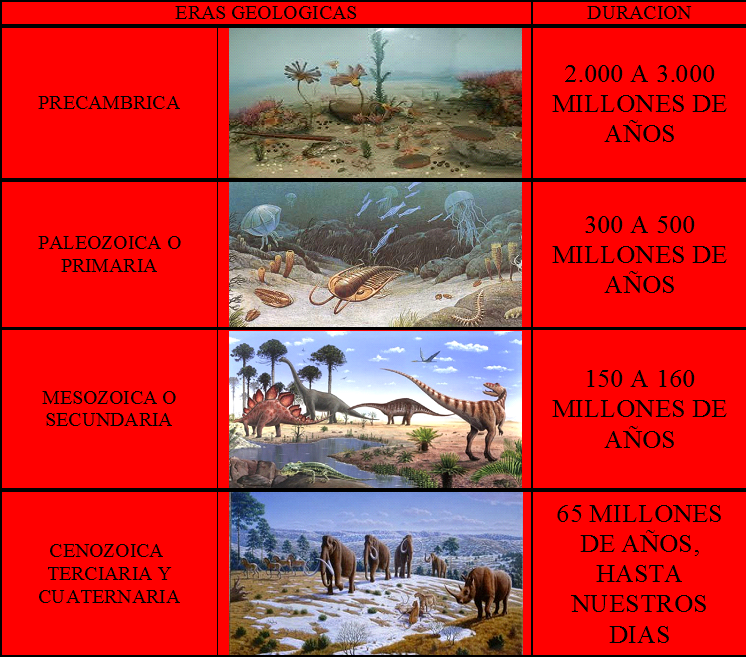 LAS ERAS GEOLÓGICAS ¿CUALES SON LAS ERAS GEOLÓGICAS? LAS ERAS GEOLÓGICAS ¿CUALES SON LAS ERAS GEOLÓGICAS?