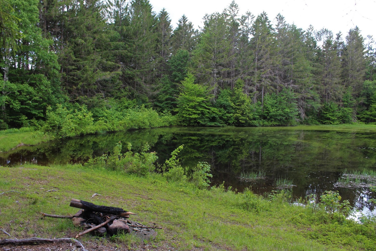 Walking Man 24 7 Clapper Hollow State Forest(Schoharie County, NY)