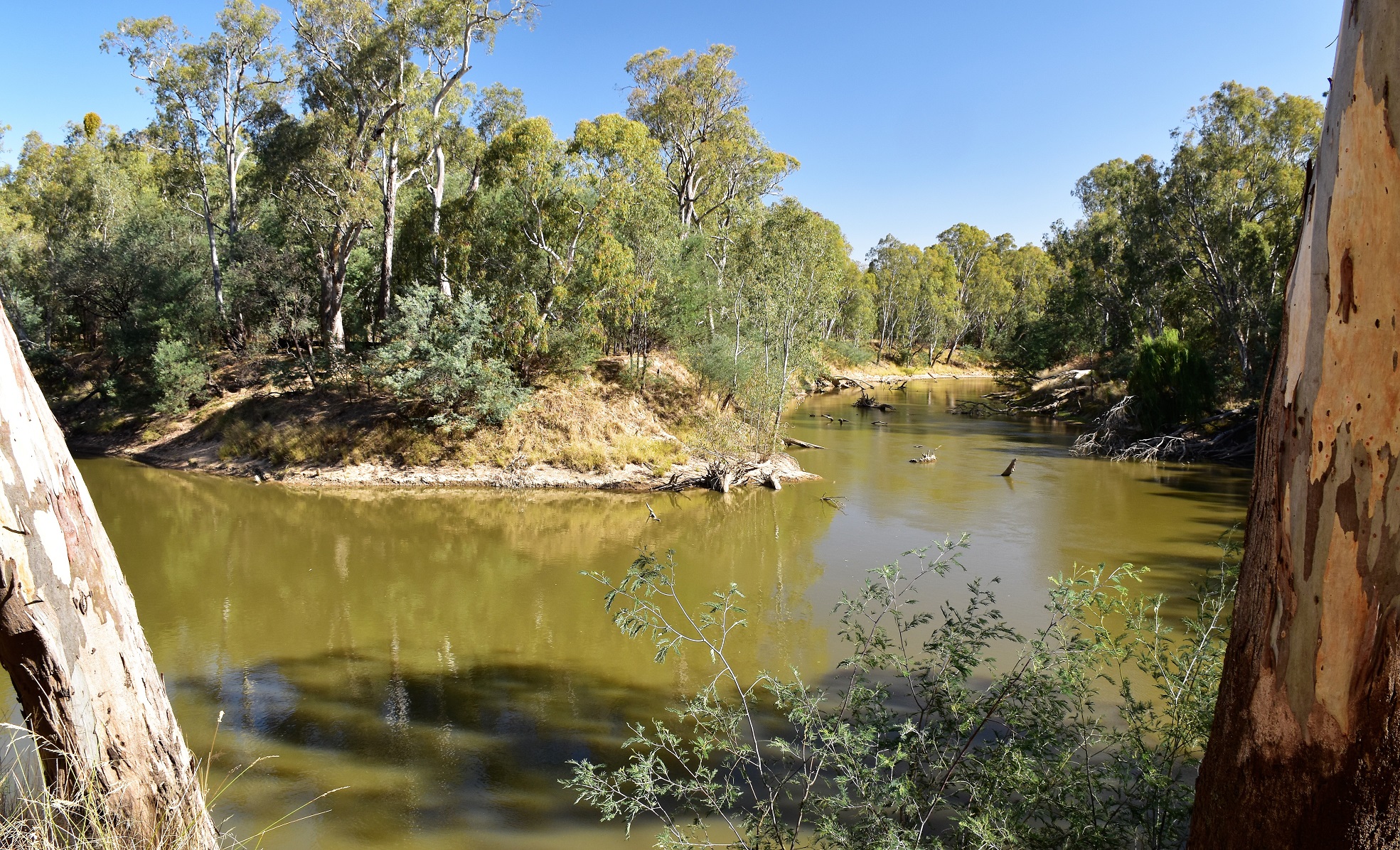 Goin' Feral One Day At A